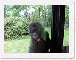 Dierentuin Burgers  Zoo 102 * 3648 x 2736 * (4.46MB)